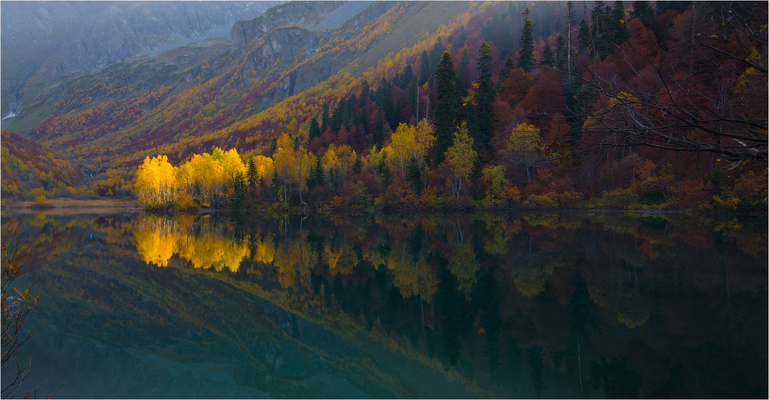 Reflection