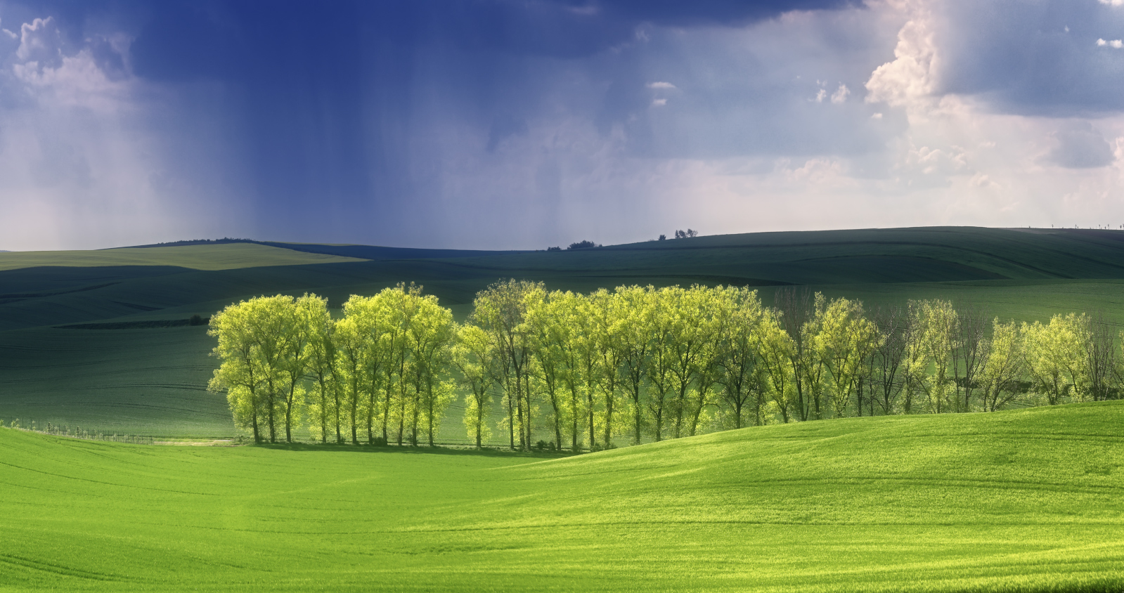 May rain