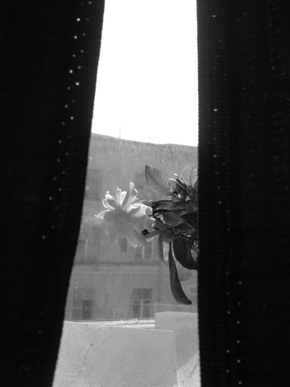 sunday morning