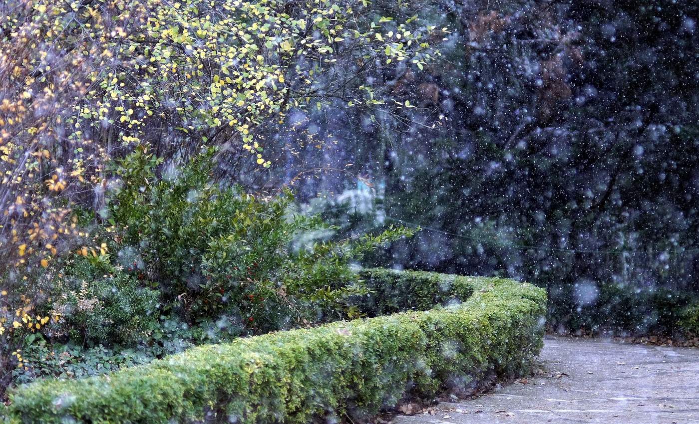 The Winter's Tale