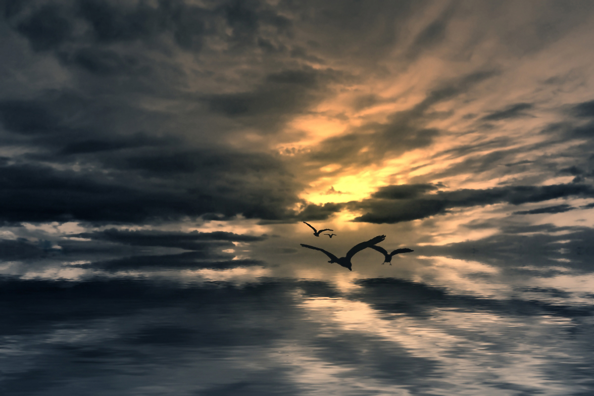 Parallel World