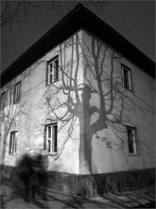 Parallel World