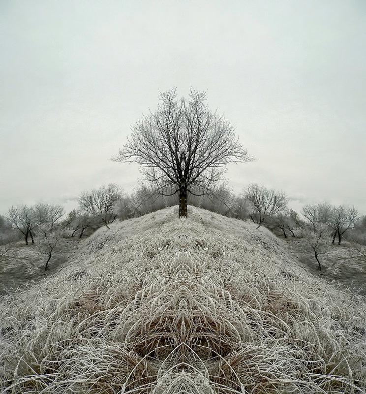 Parallel World