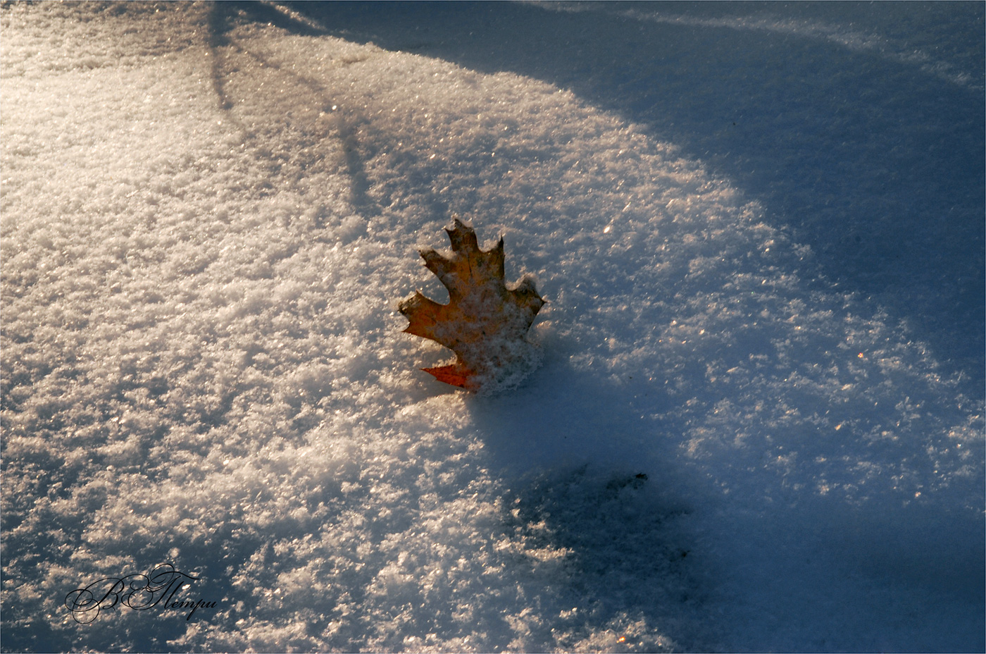 Memories of autumn