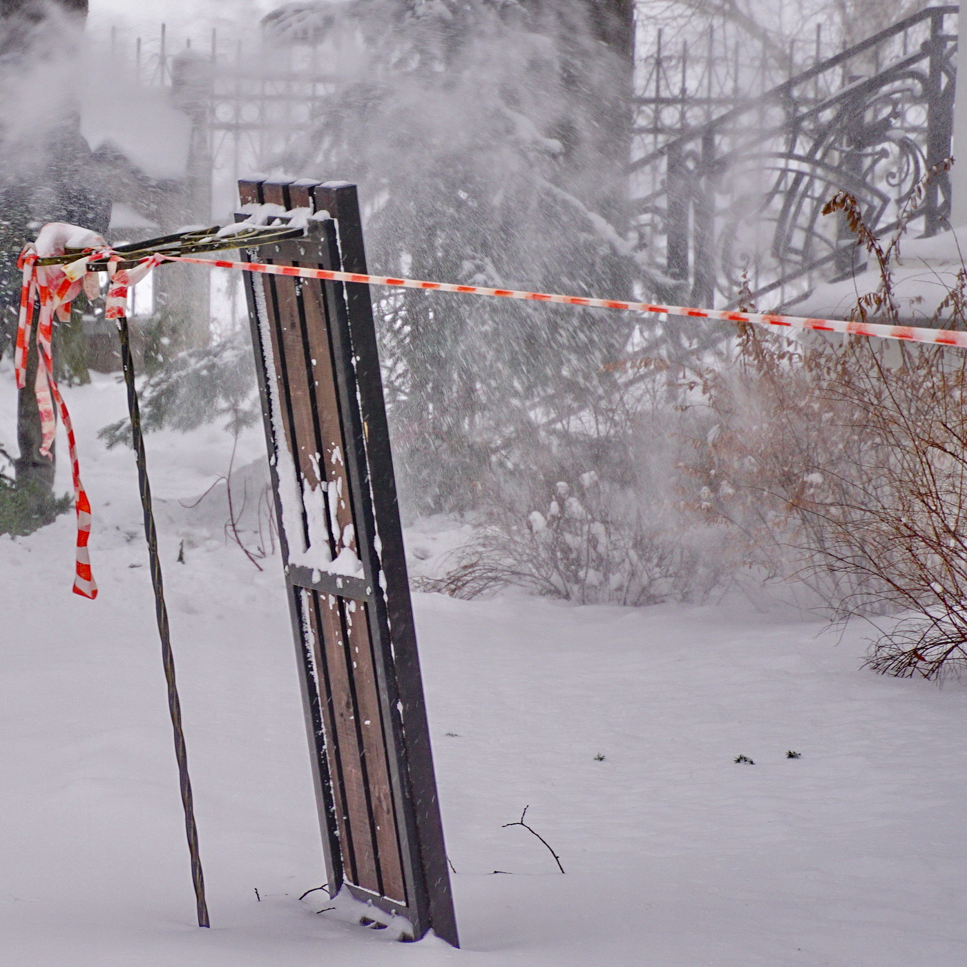 Winter