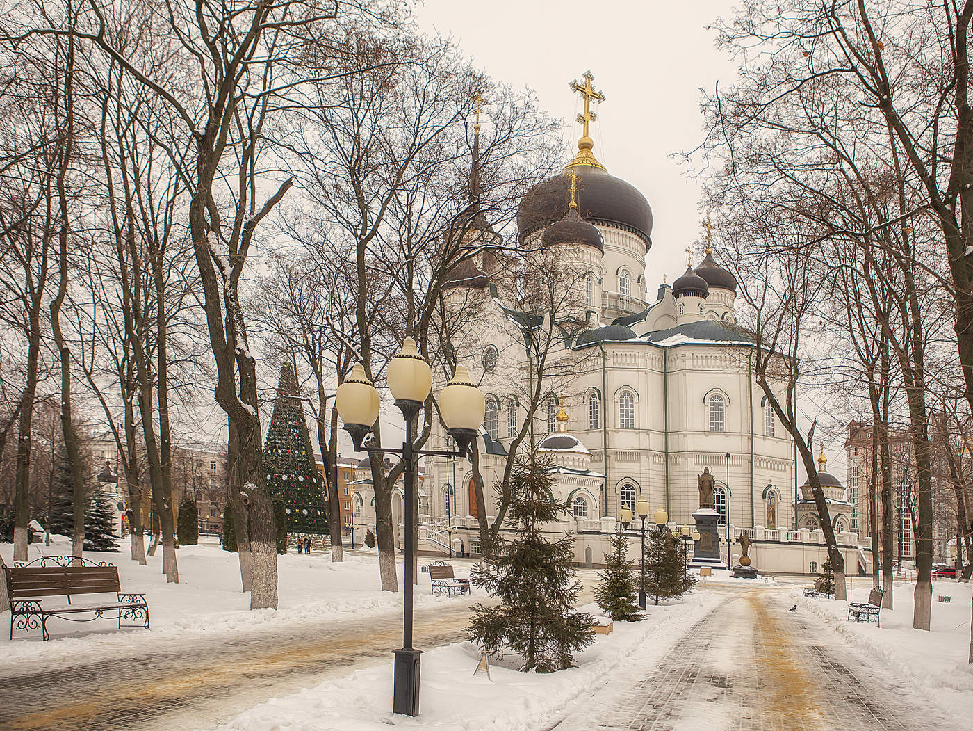 Православный храм пресвятой богородицы. Благовещенский собор Воронеж зима. Благовещенский собор Воронеж зимой. Благовещенский кафедральный собор Воронеж зимой. Воронеж Благовещенский храм зимой.