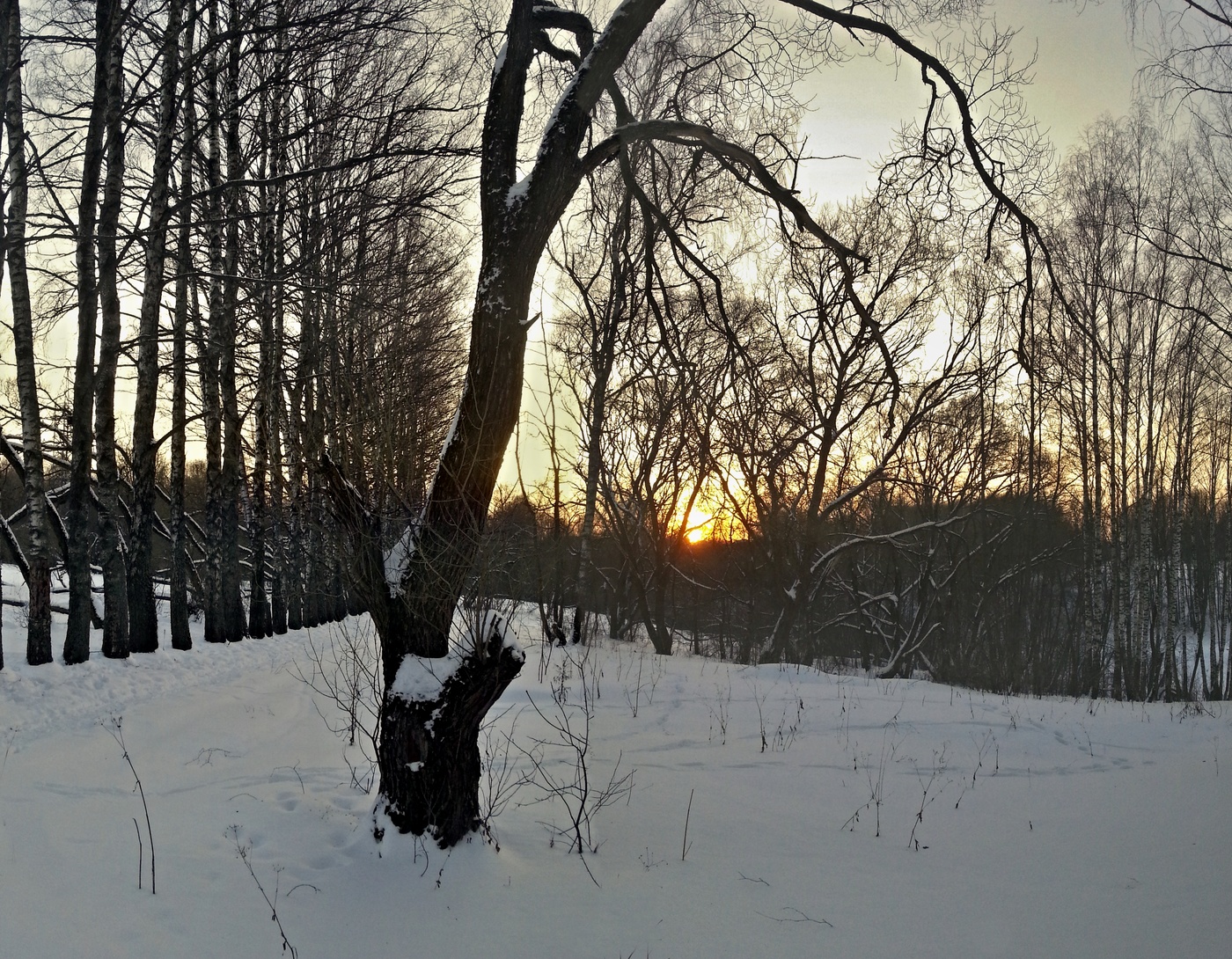 Winter Sunset