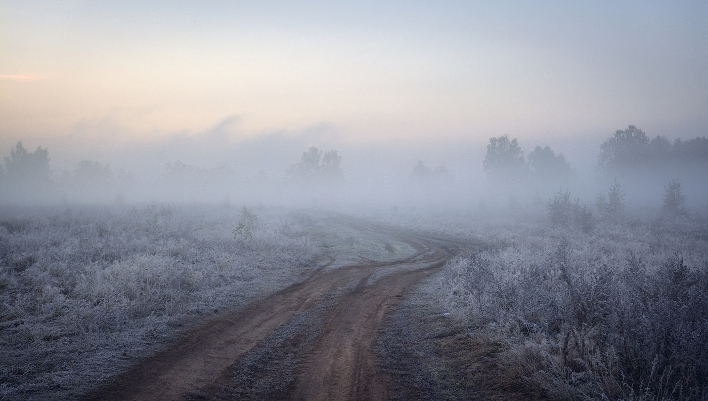Through the mist.
