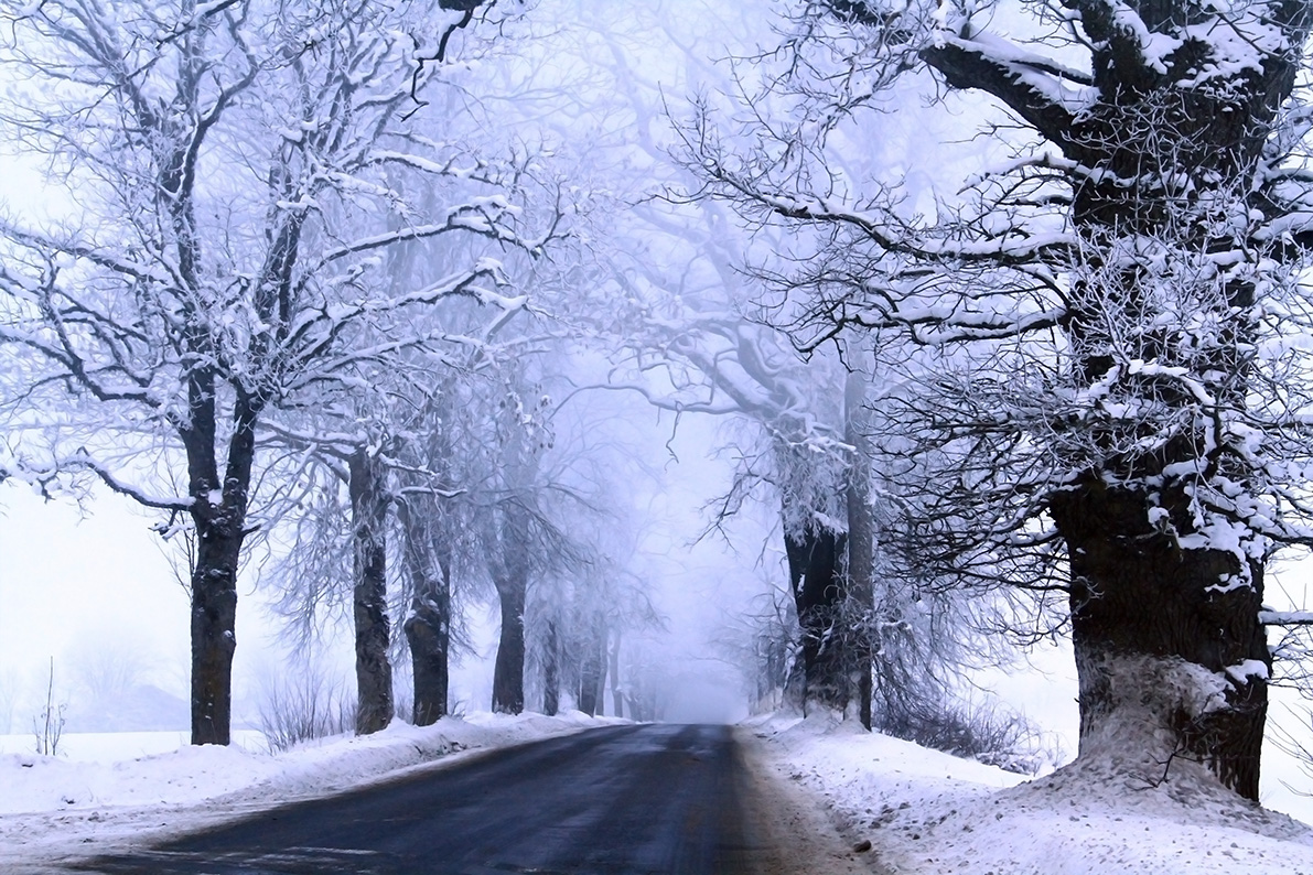 Fog