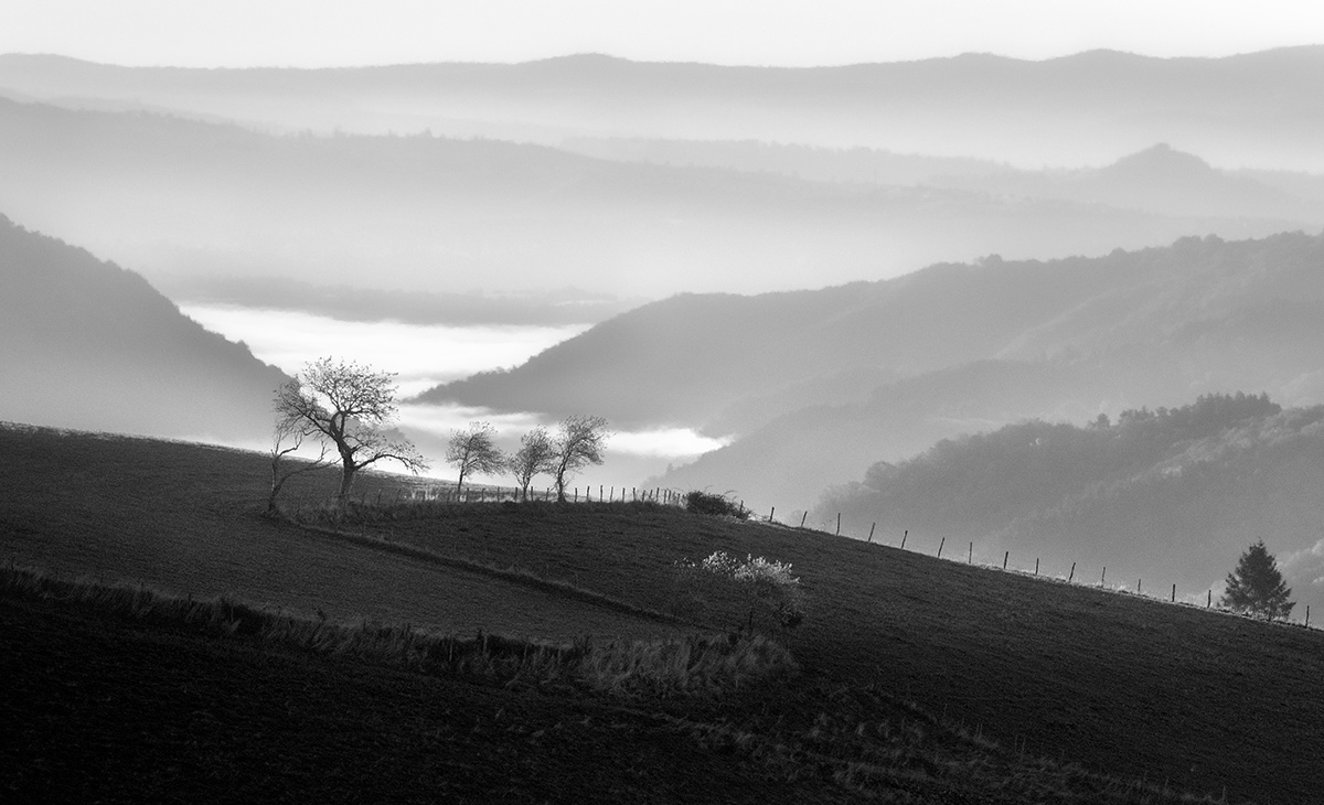 Early Light