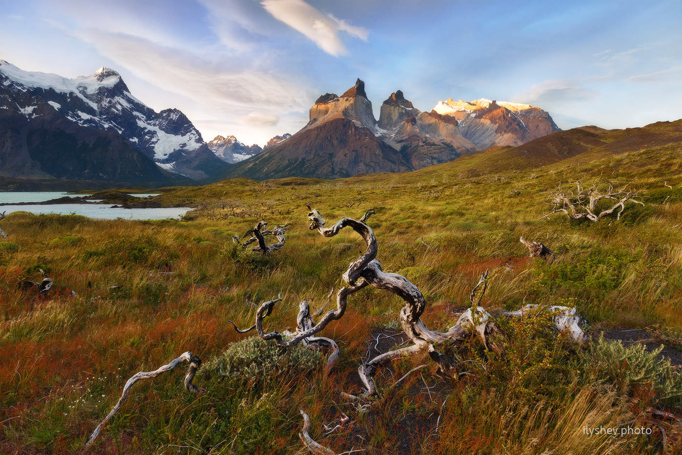 Patagonia