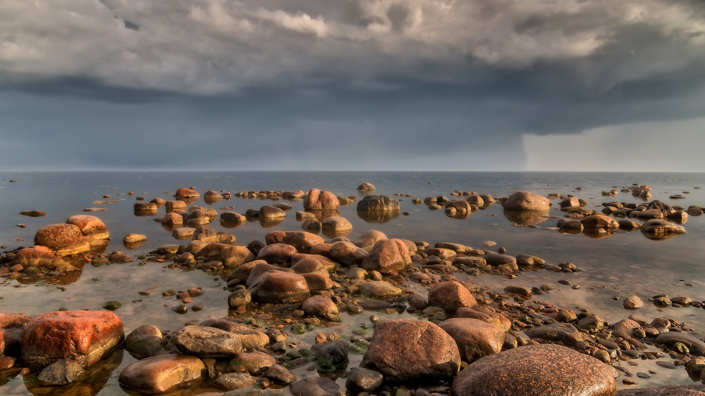 After the rain