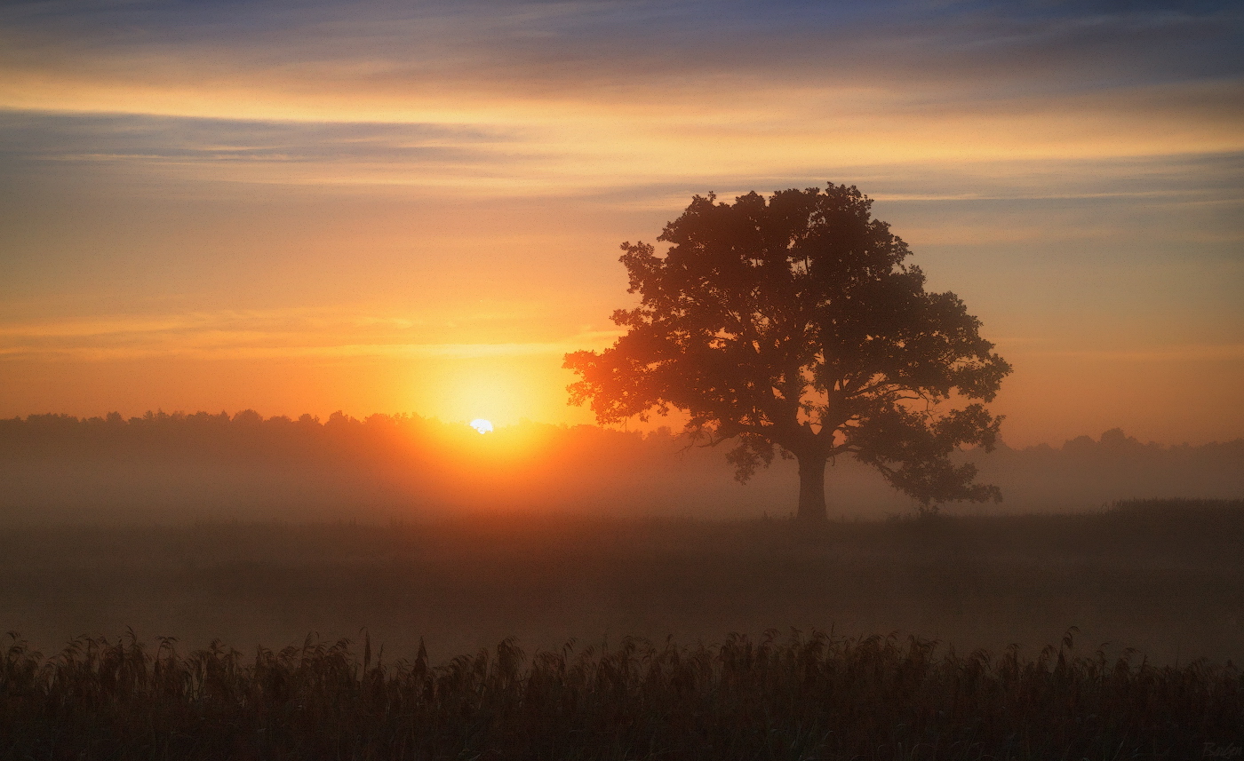 Cold morning