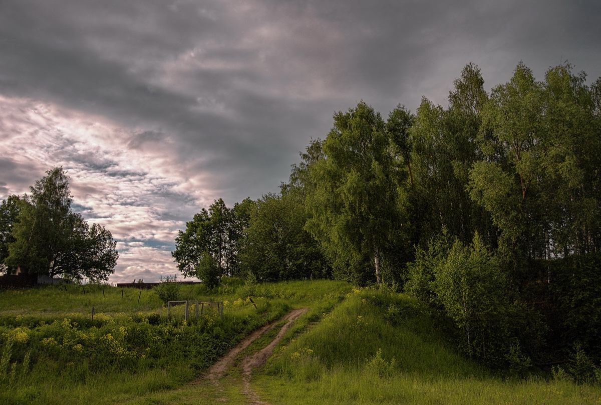 Природа средне. Пейзаж средней полосы. Пейзажи средней полосы России. Красивая природа средней полосы. Пейзажи природы средней полосы России.