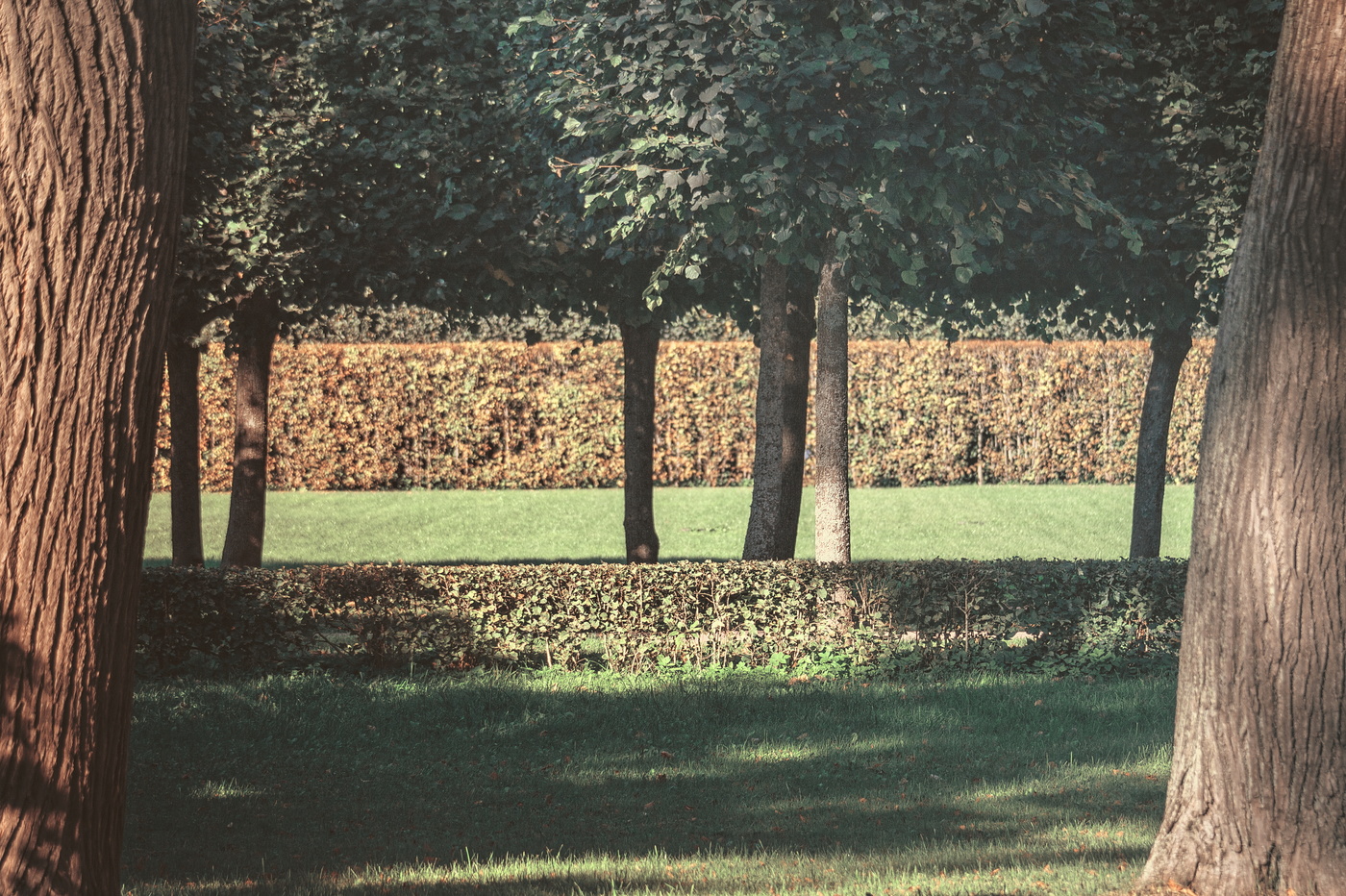 in the park
