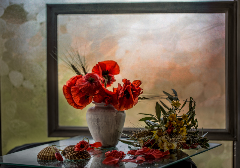 Still life with poppies