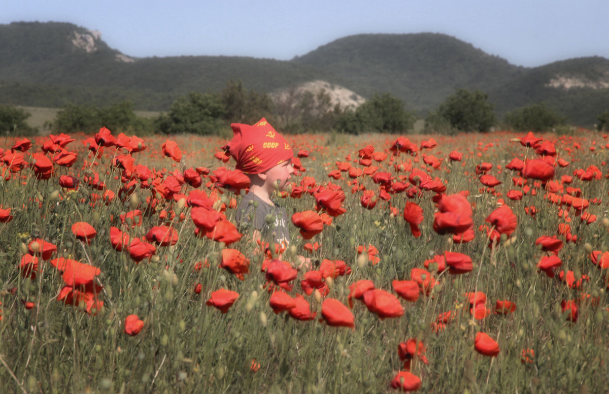 The Scarlet Flower