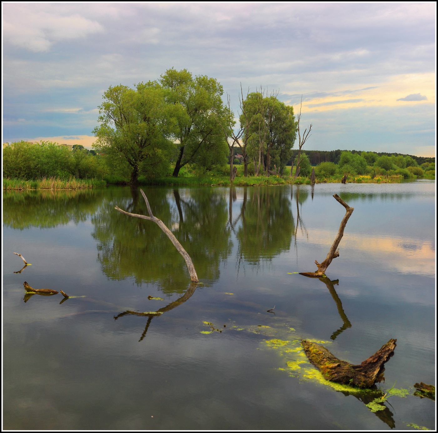 suburban landscape