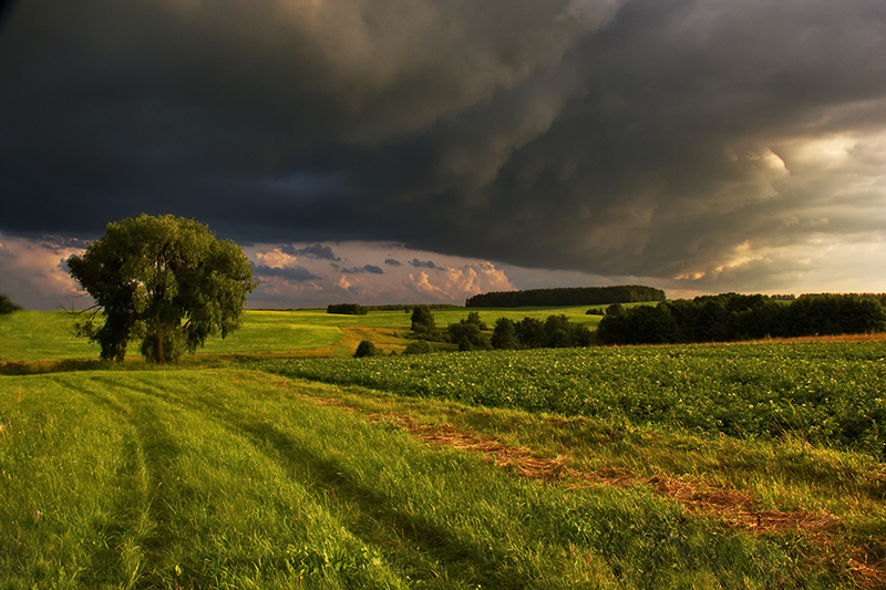 Storm Front