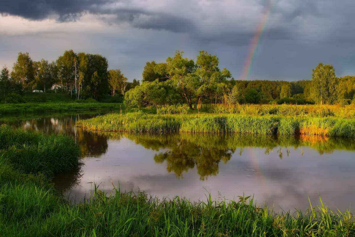 After the rain