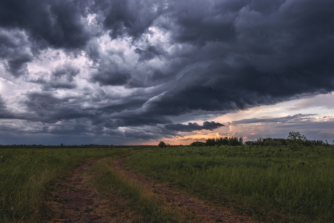 Before the storm