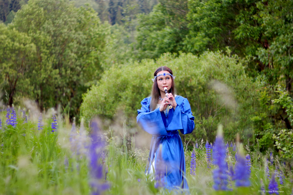 Melody Forest