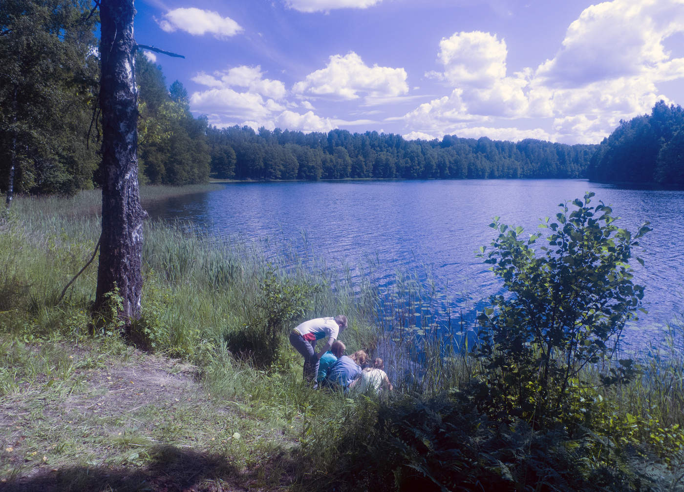 On the lake