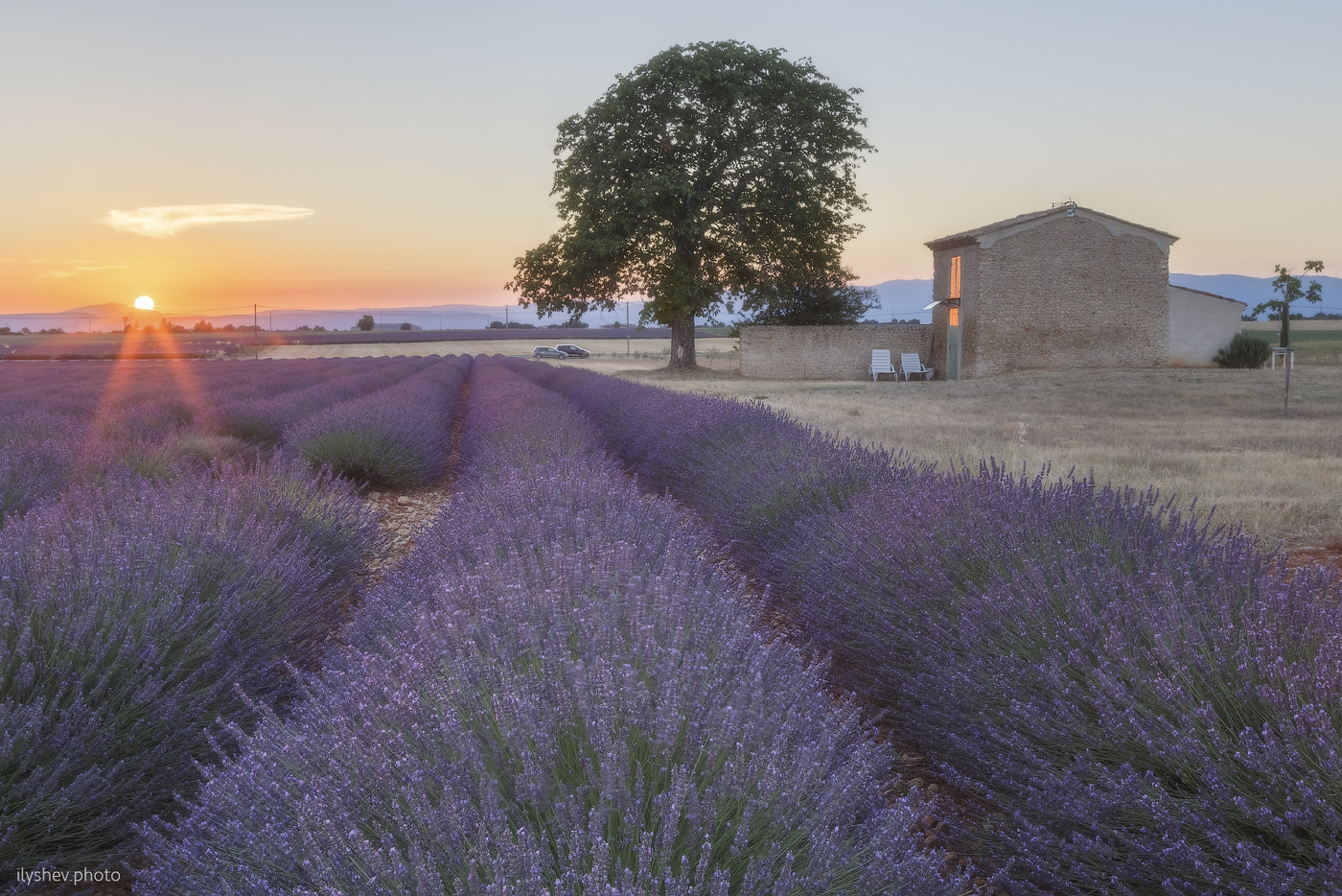 Lavender sunset
