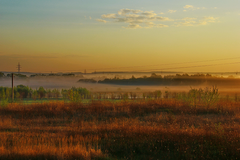 In the morning light