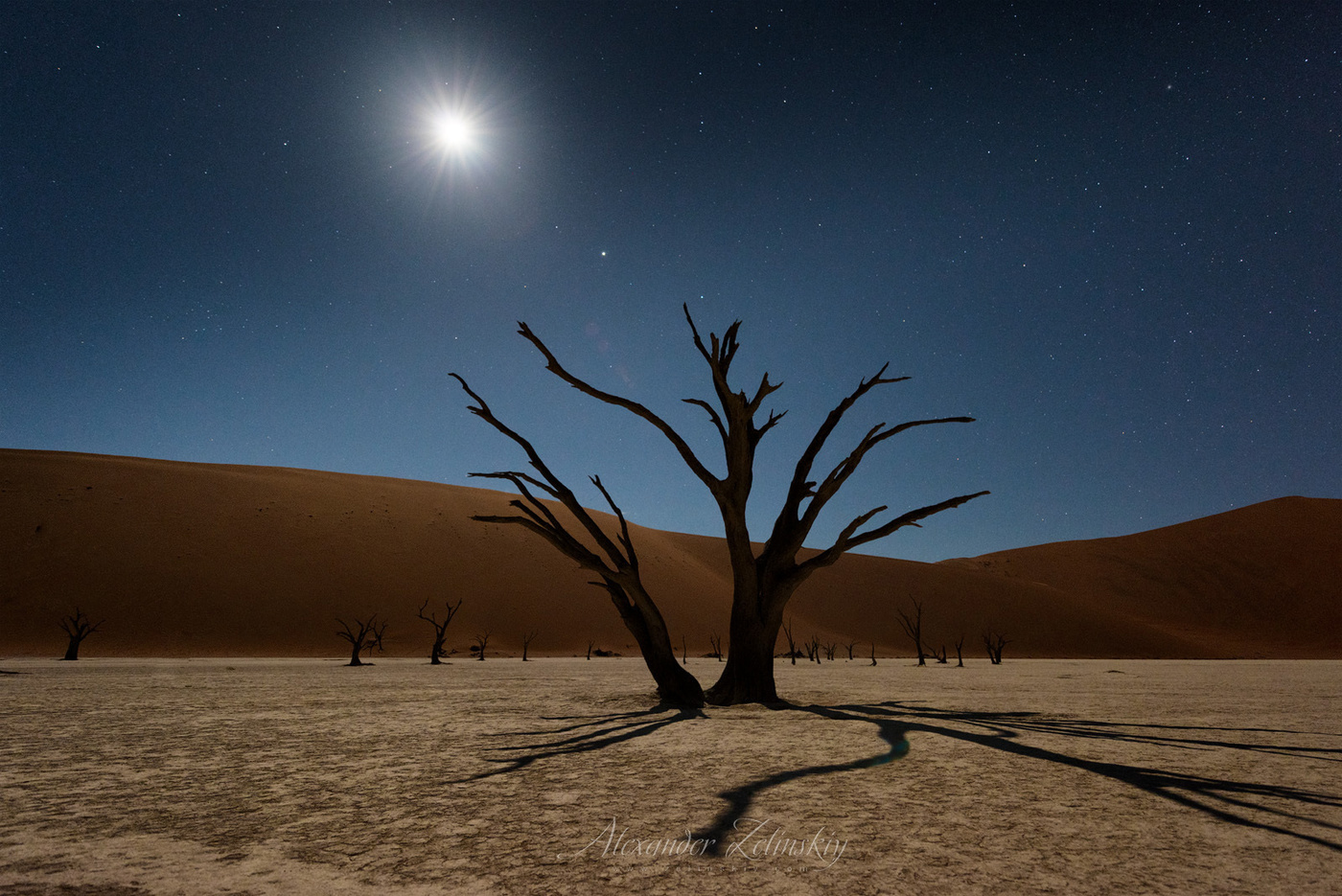 Moonlight night