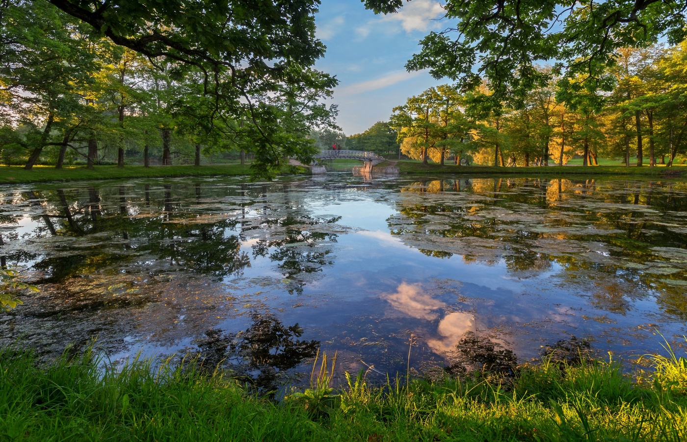 The evening in the park