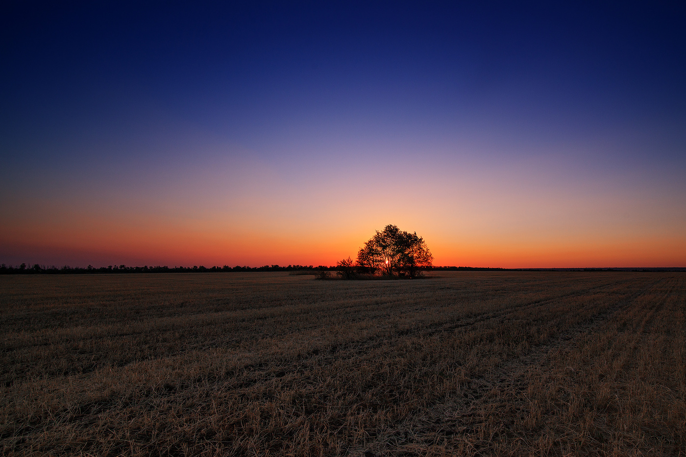 Evening light
