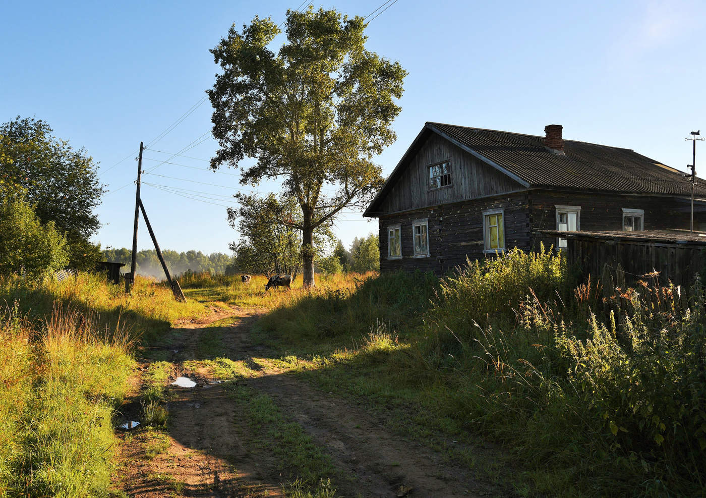 Дом сельская улица. Утро в деревне. Деревенская улица. Утренняя деревня. Деревенская улица летом.