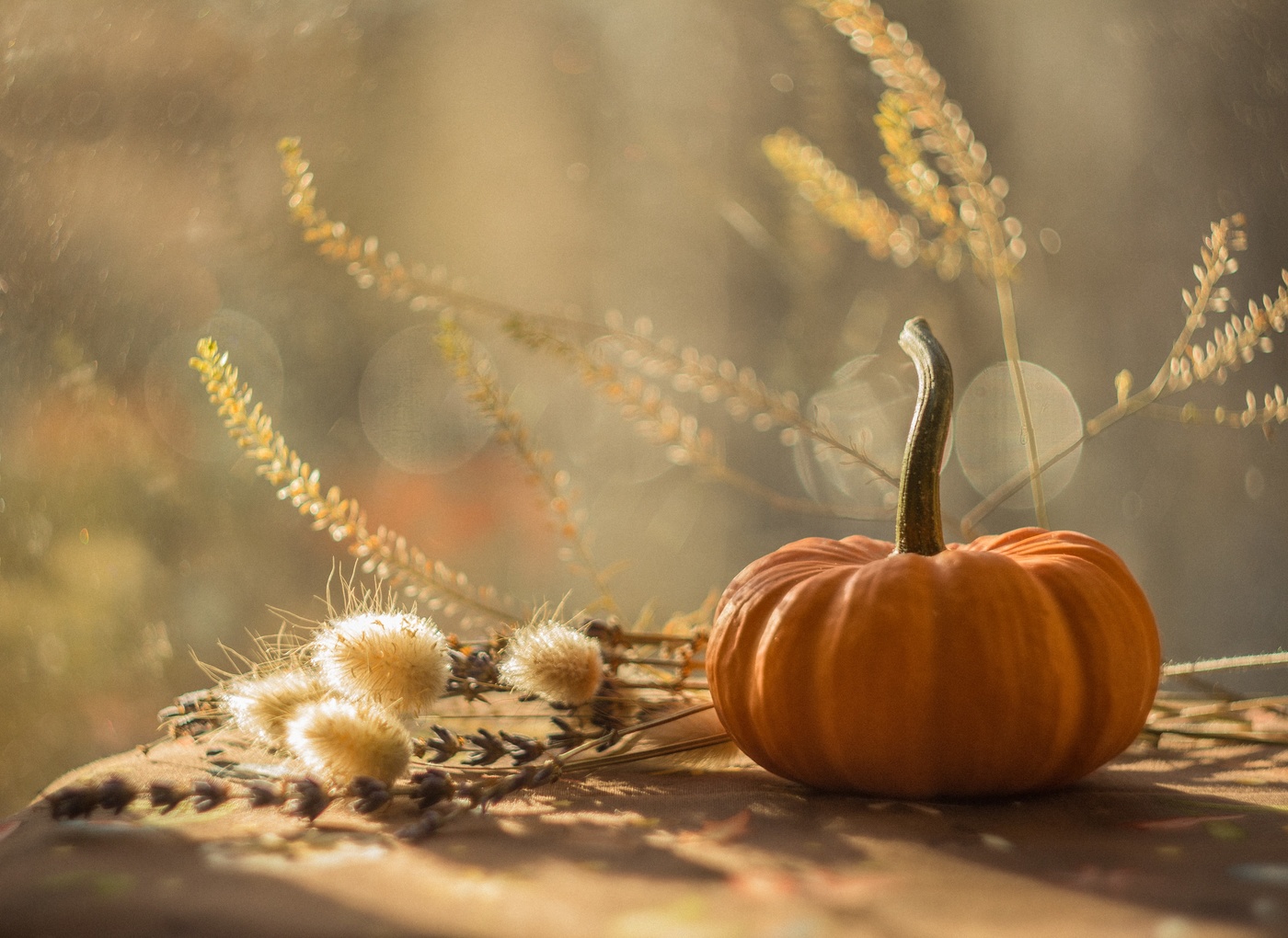 Autumn