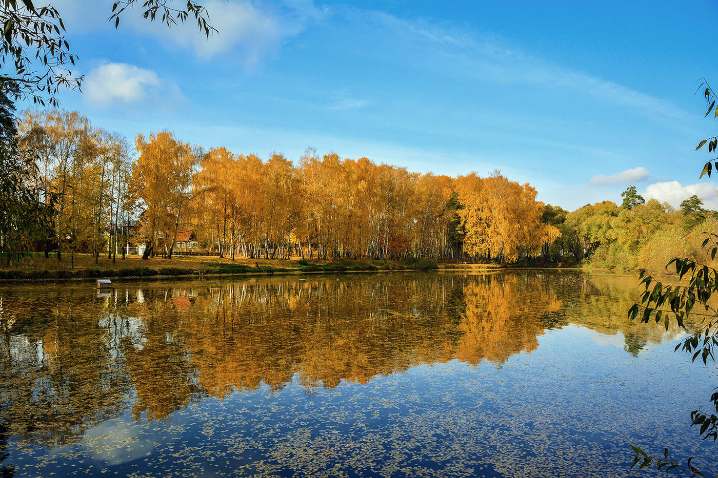 gold autumn