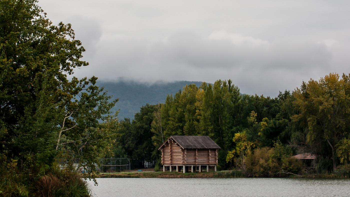 Autumn