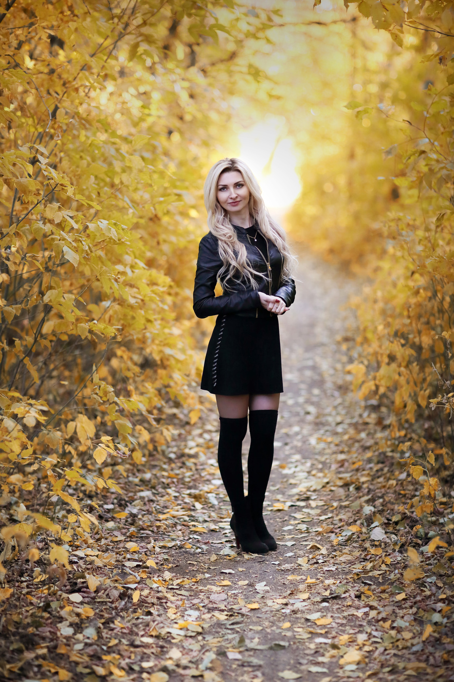 gold autumn