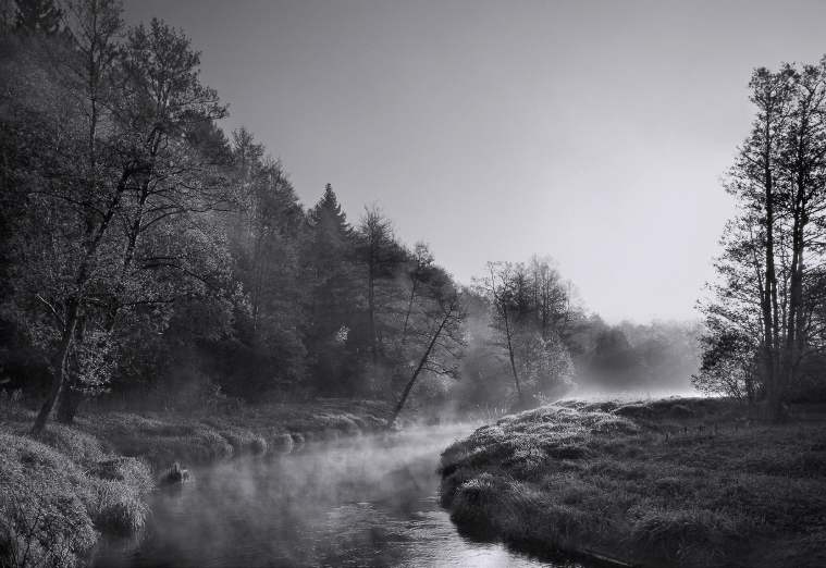 Morning River