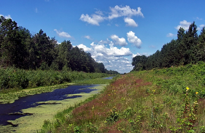 bed of the old canal