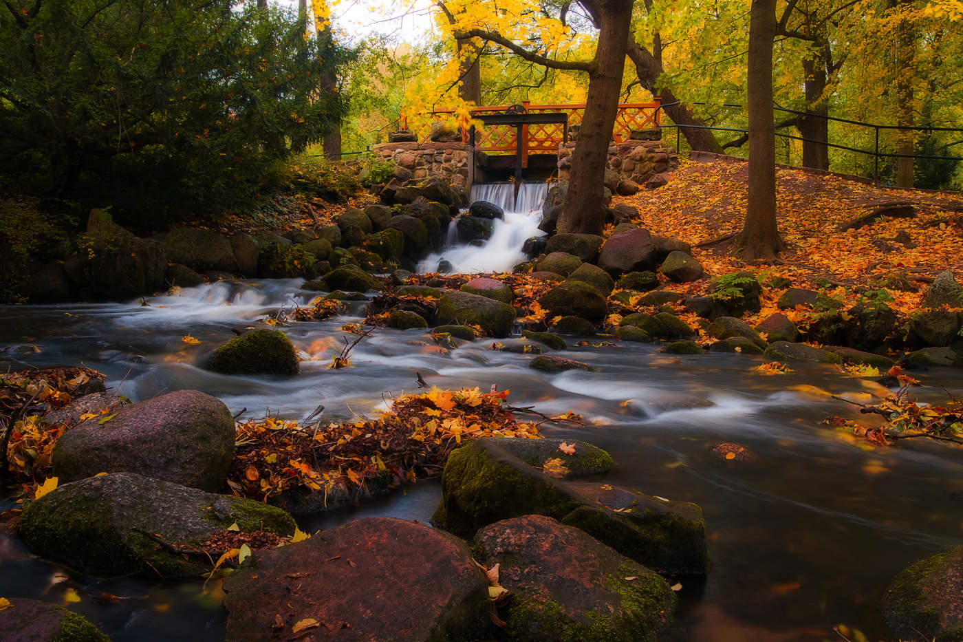 Autumn landscape