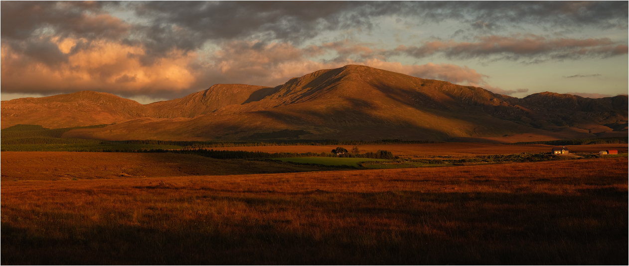 ...Nephin Beg...