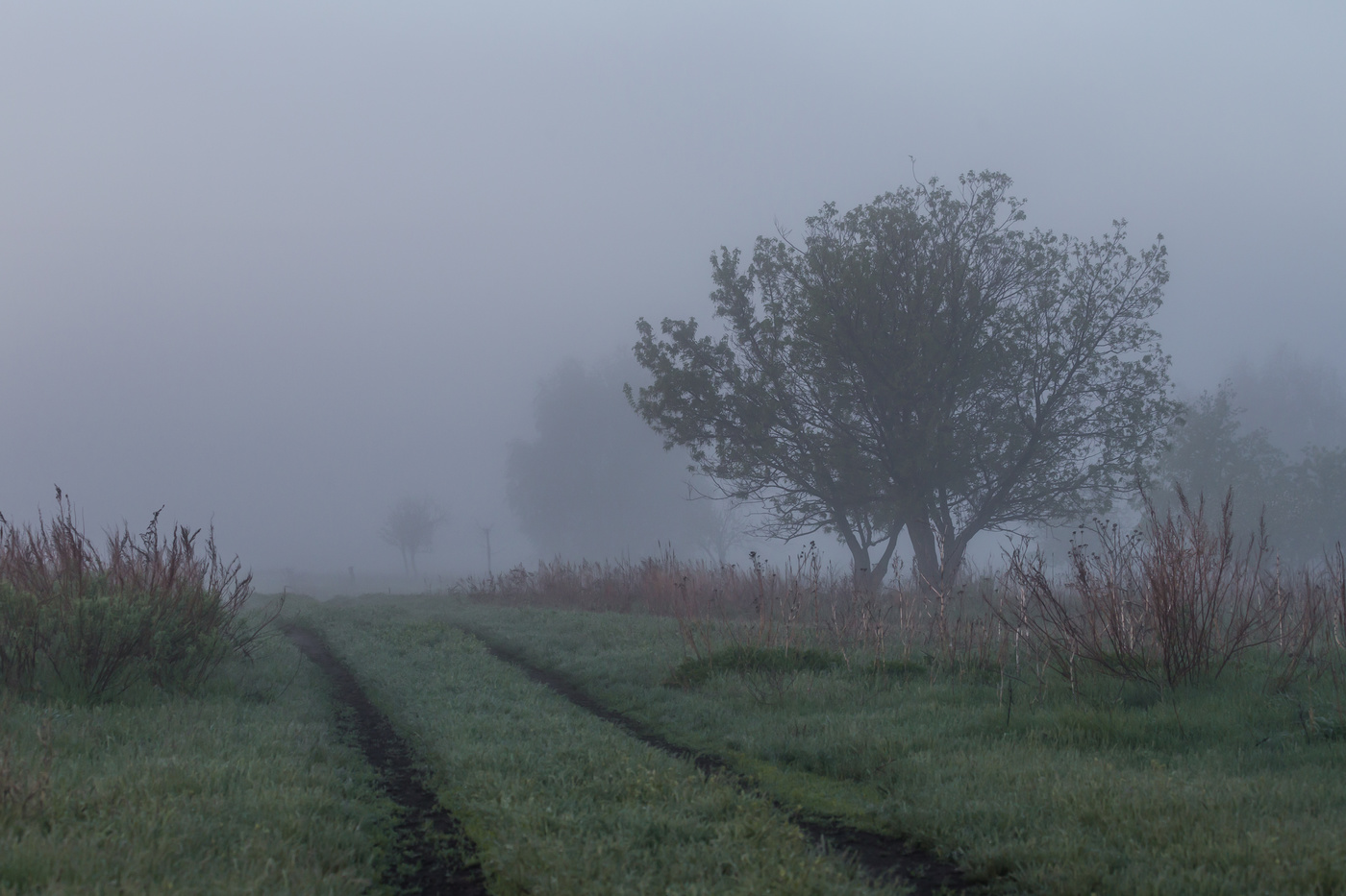 there behind fogs