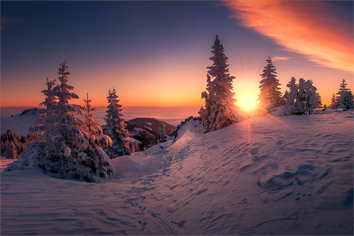 Winterwunderland