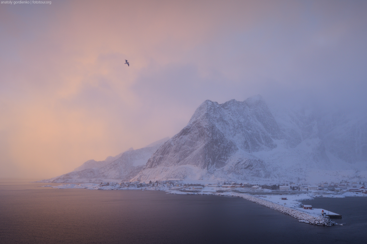 Reine