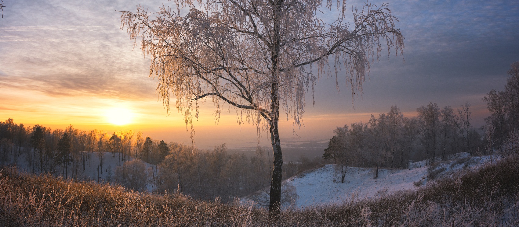 Evening light.