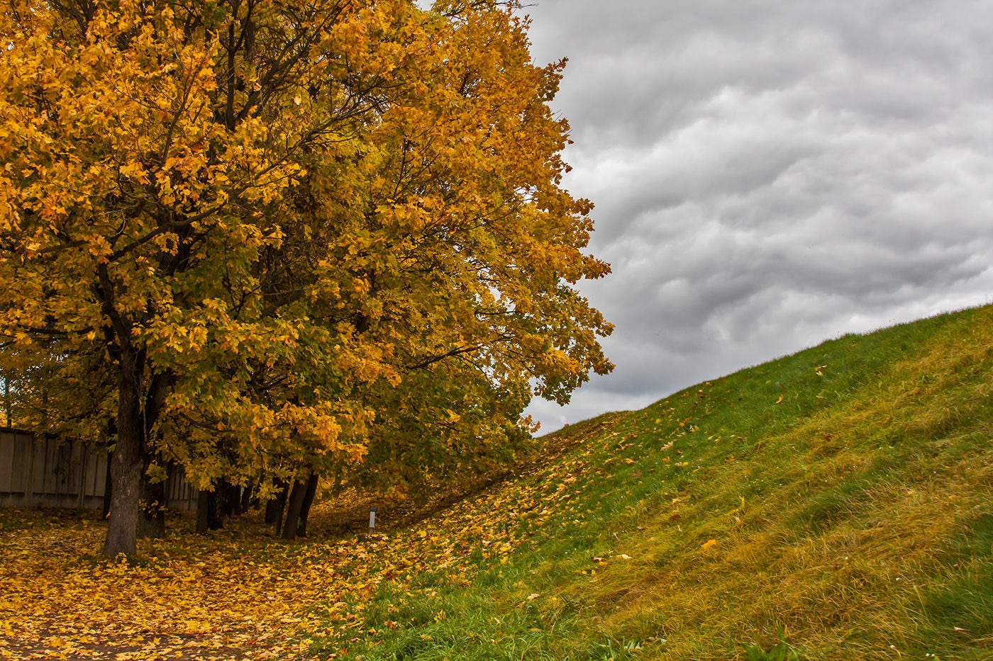 Autumn colors.