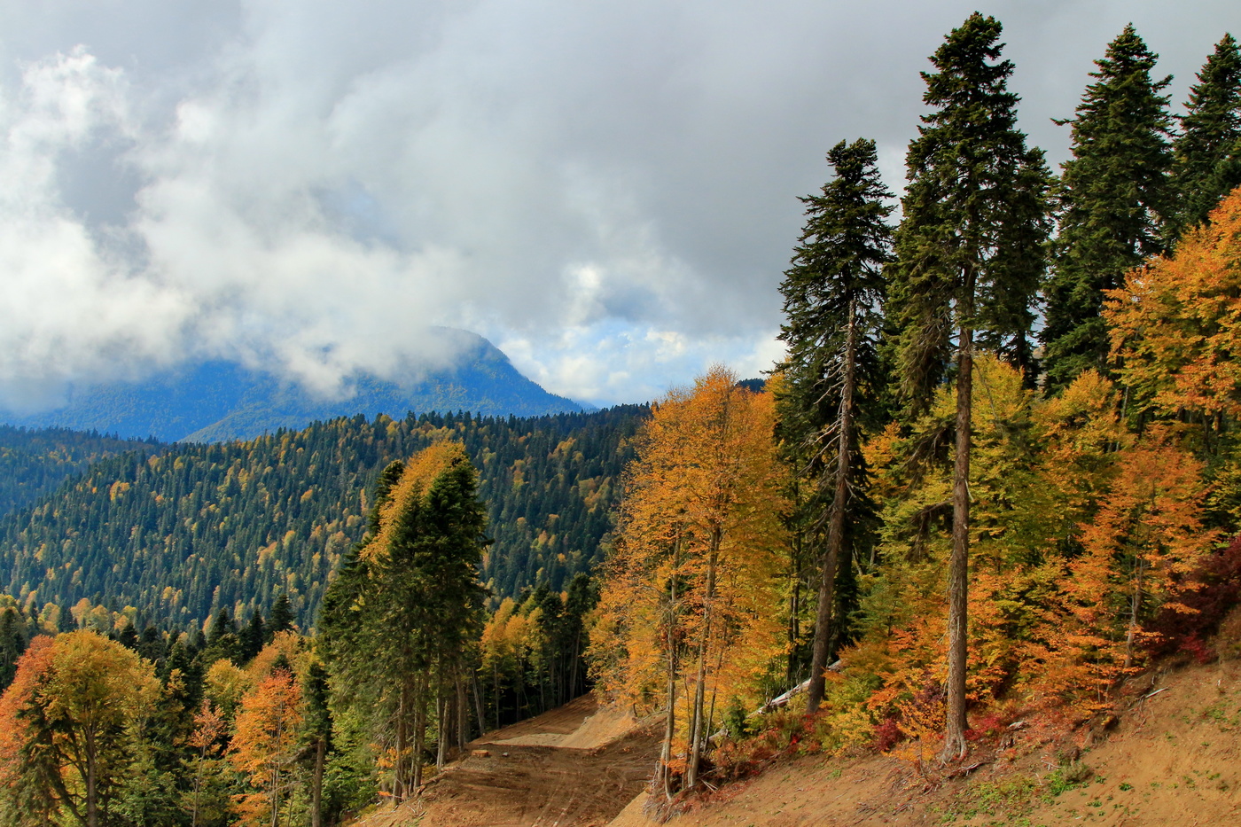 Autumn in the mountains