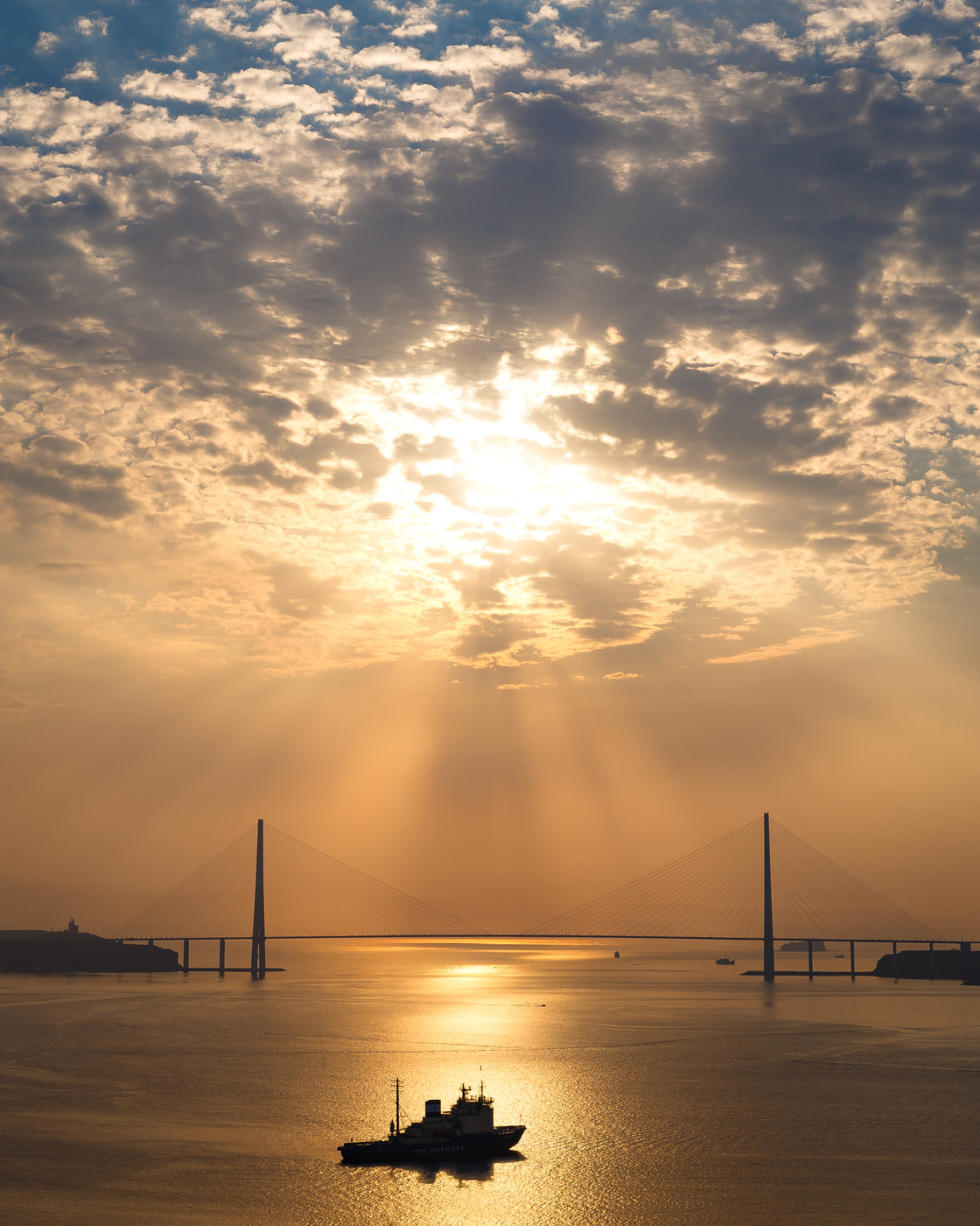 In the morning light