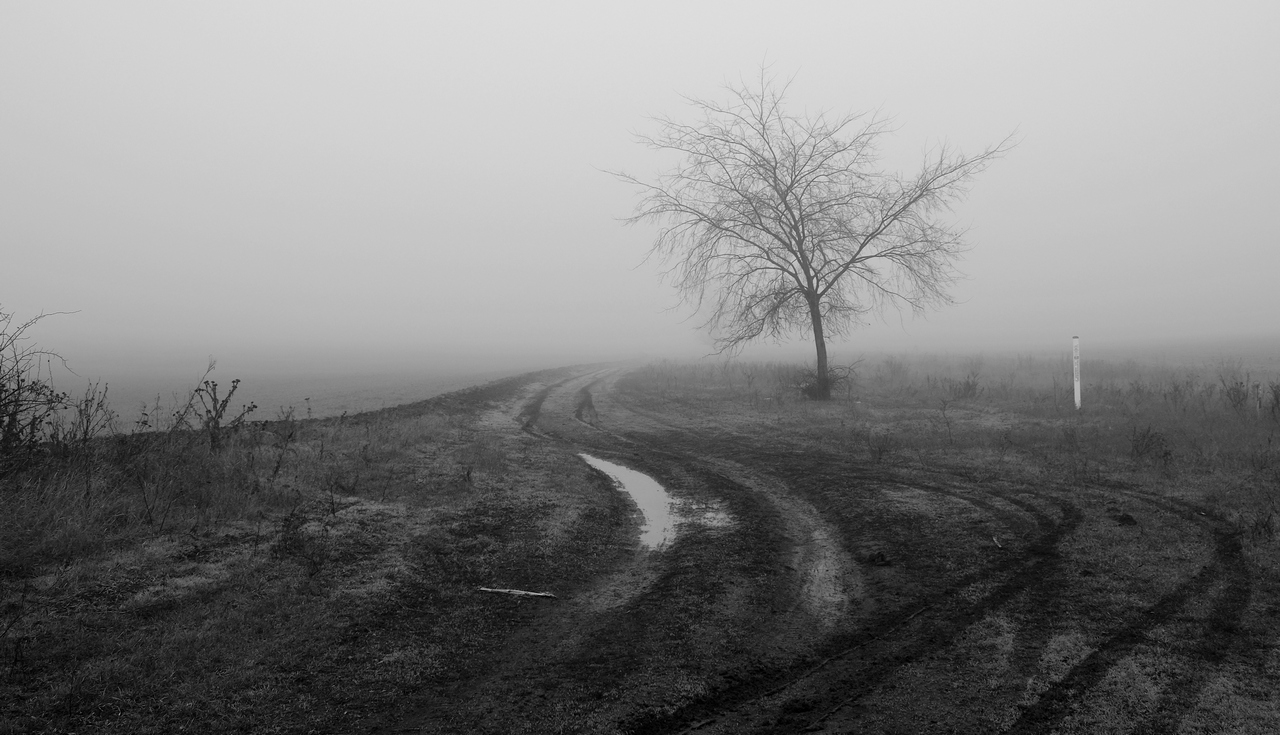 Oh, the roads ...