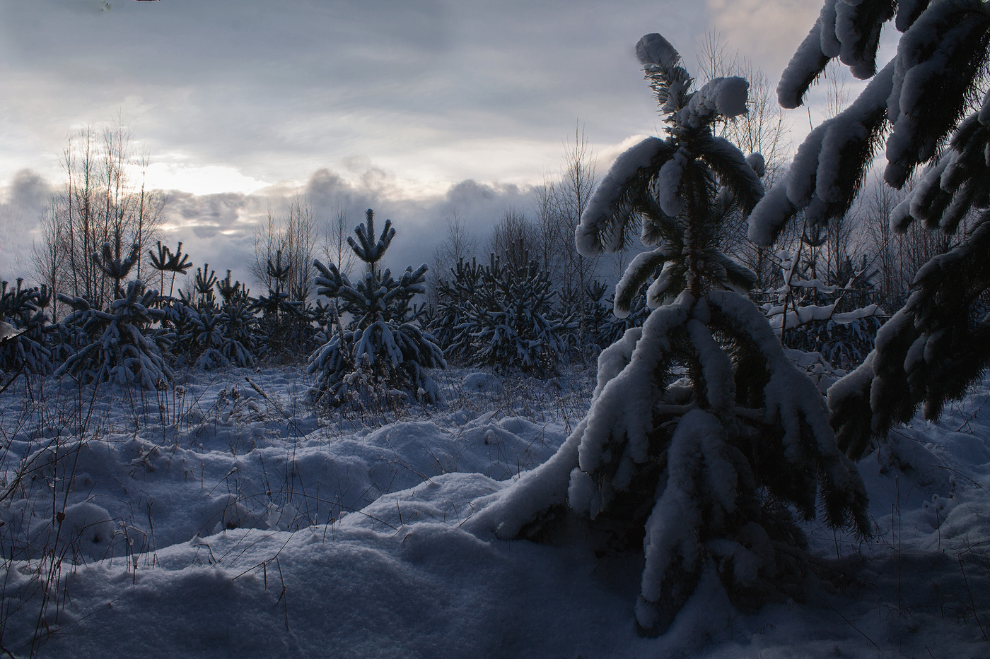 Winter Sunset